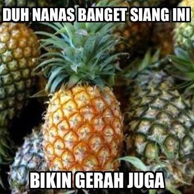 Air Nanas Dan Air Kelapa Bisa Sembuhkan Kanker Dr Maria Shanty Arena Hoax Hunter